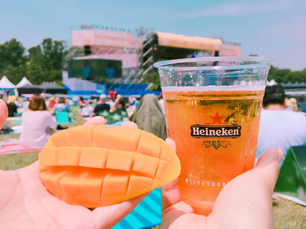 …여름이었다 ! : 나의 페스티벌&nbsp;연대기